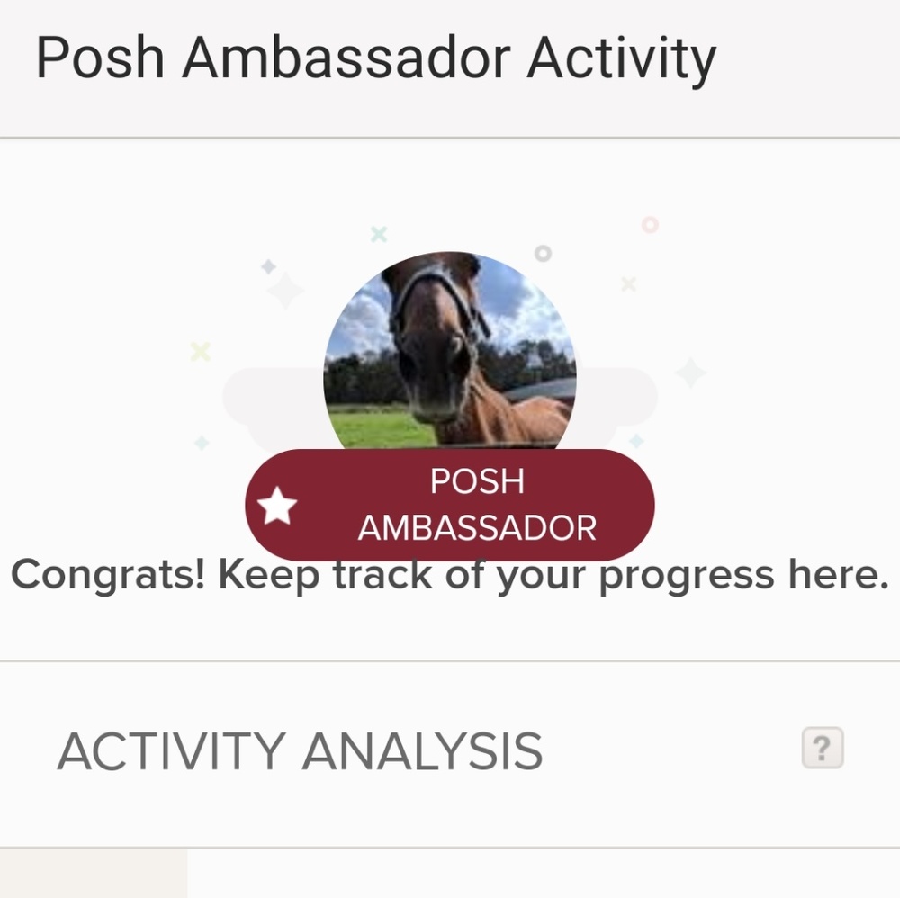 Posh Ambassador 😁